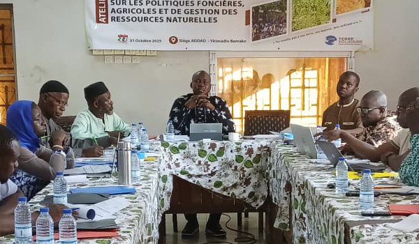 Session d’échange des membres de la (…)